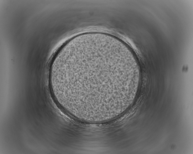 X0000094821504200712141633