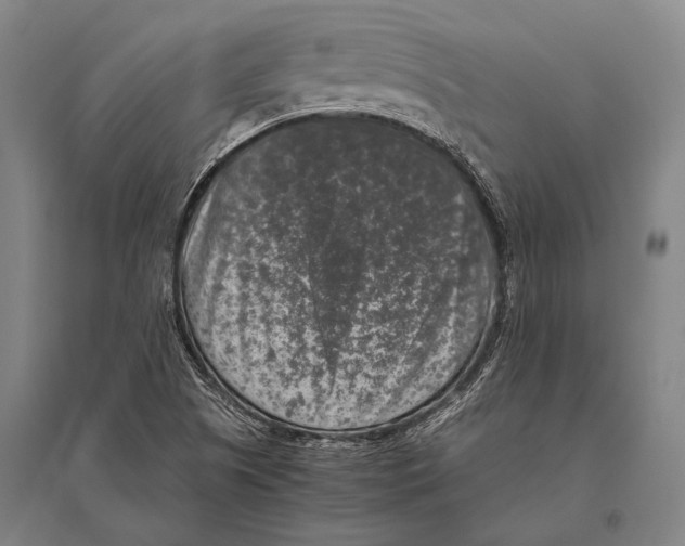 X0000094821505200712141633