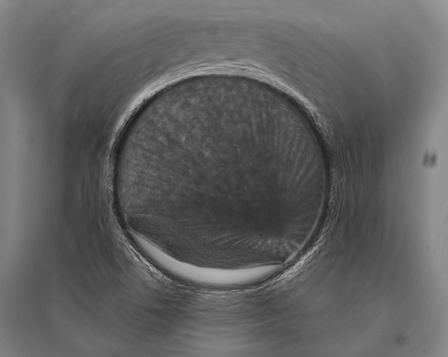 X0000094821506200712141633