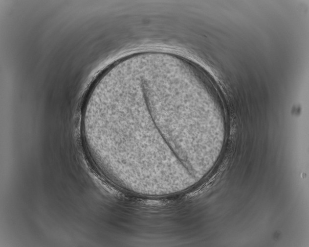 X0000094821507200712141633