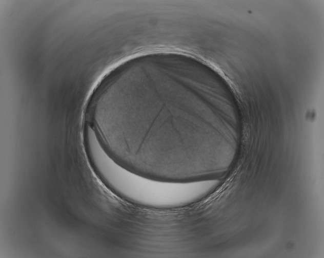 X0000094821508200712141633