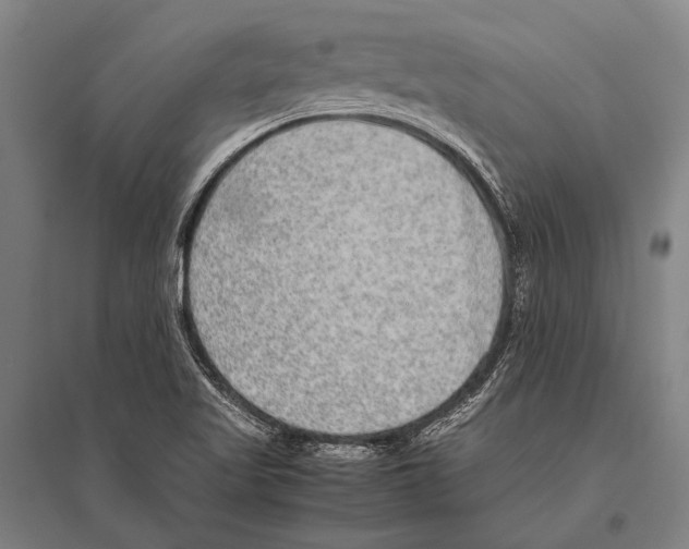 X0000094821509200712141633