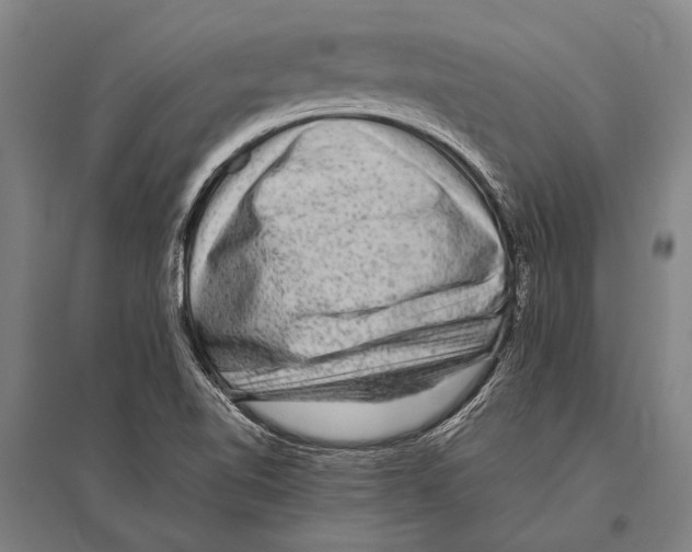 X0000094821510200712141633