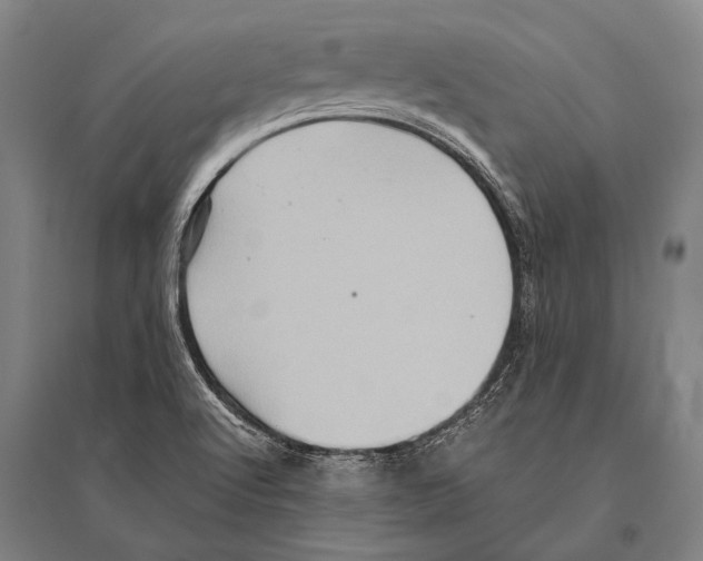 X0000094821512200712141633