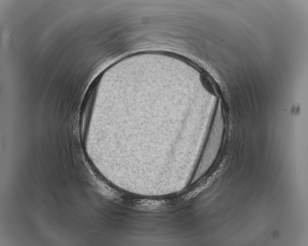 X0000094821513200712141633