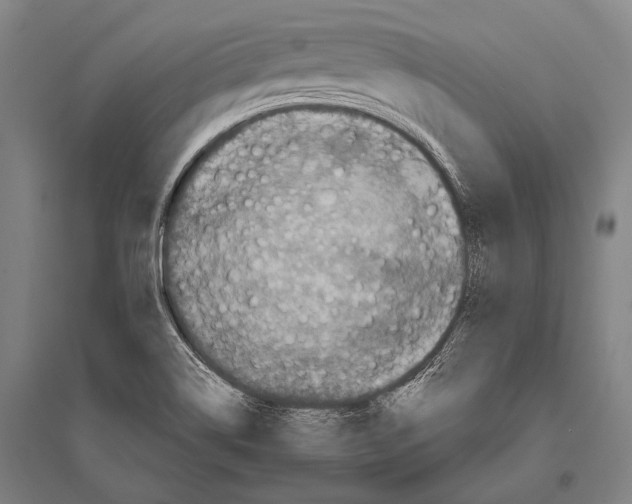 X0000094821514200712141633