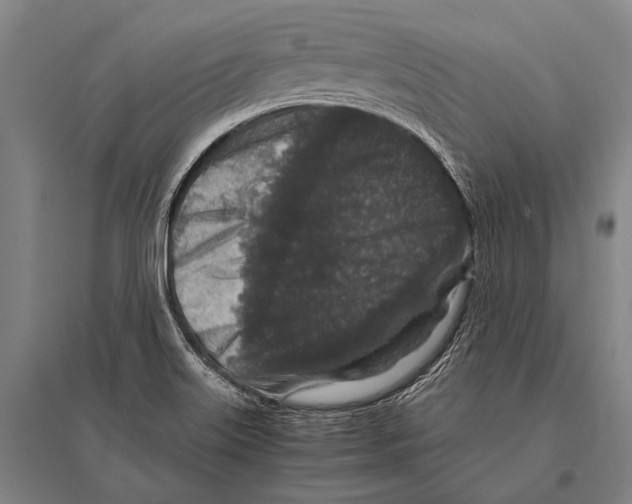 X0000094821515200712141633