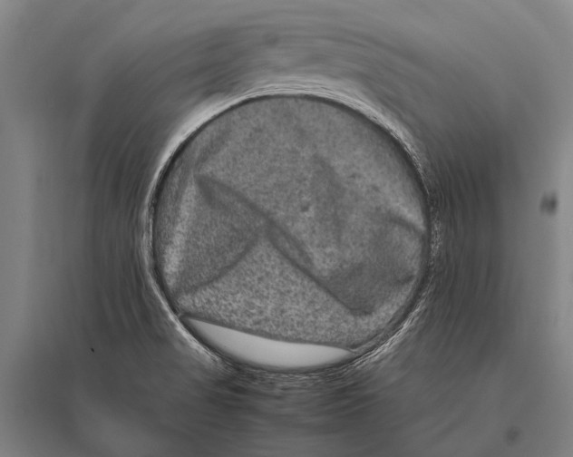 X0000094821517200712141633