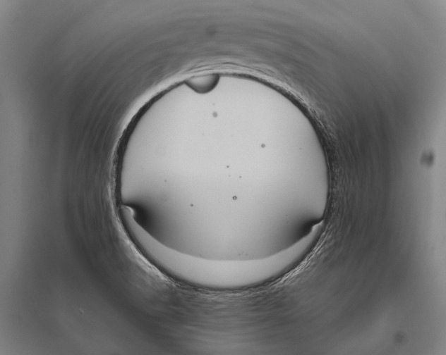 X0000094821518200712141633