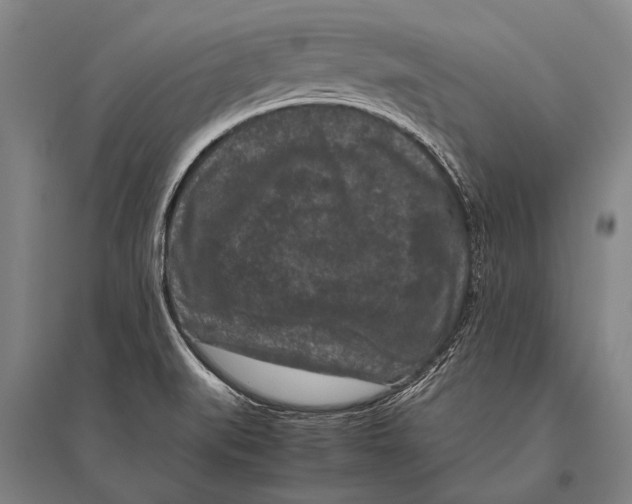 X0000094821519200712141633