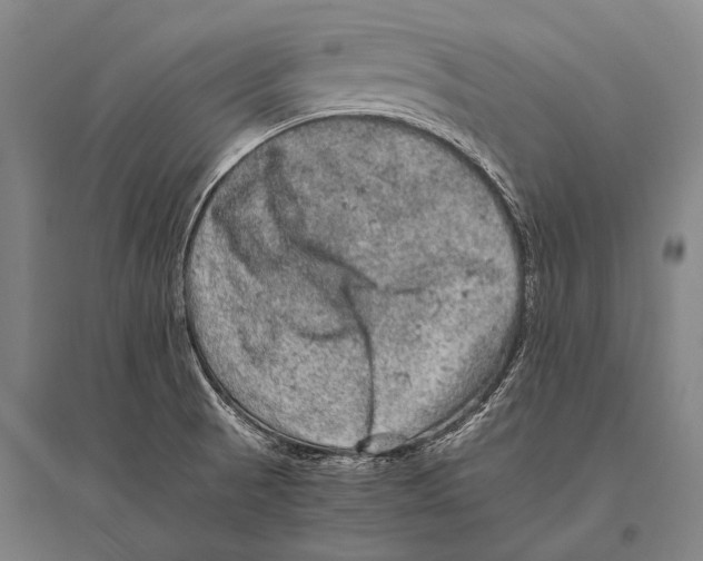 X0000094821521200712141633