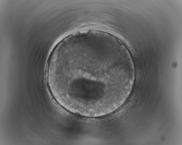 X0000094821522200712141633