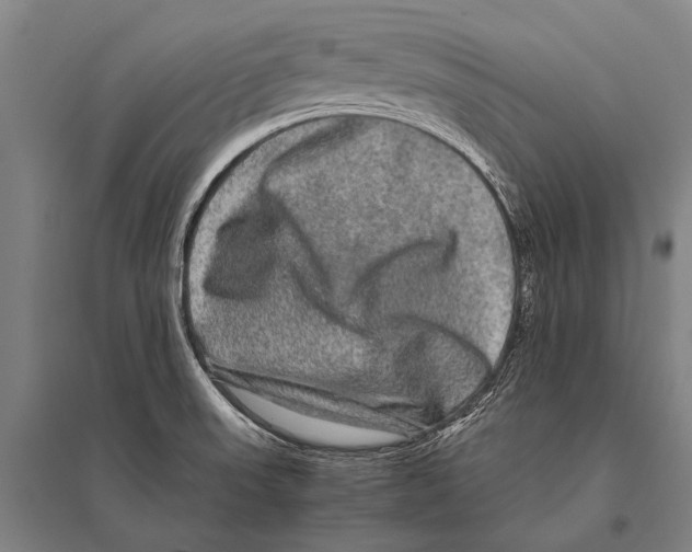 X0000094821523200712141633