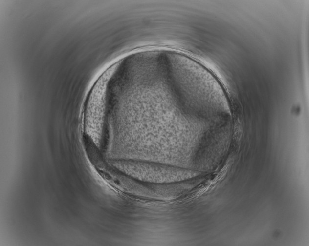 X0000094821524200712141633