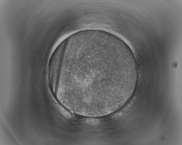 X0000094821525200712141633