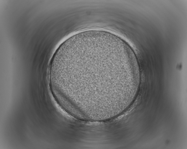 X0000094821526200712141633