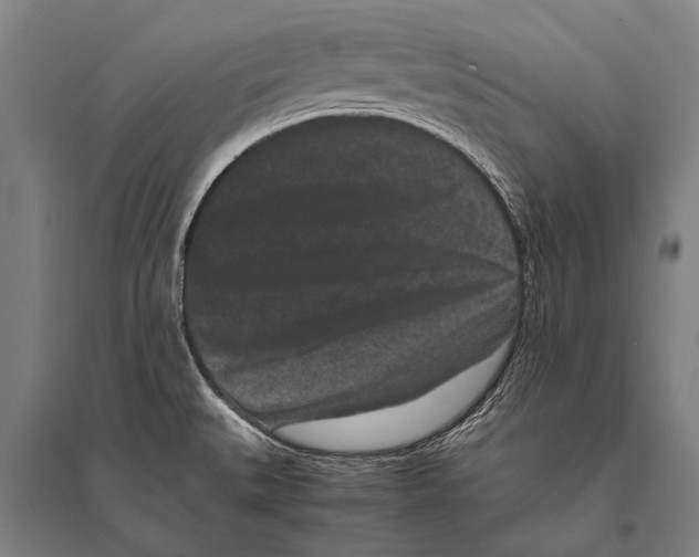 X0000094821527200712141633