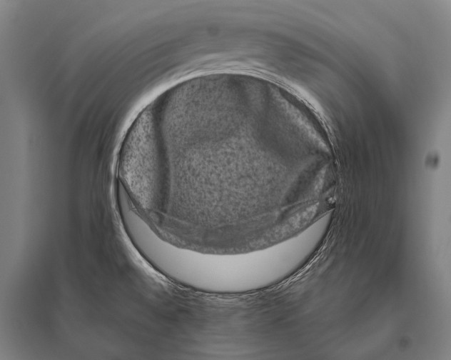 X0000094821528200712141633