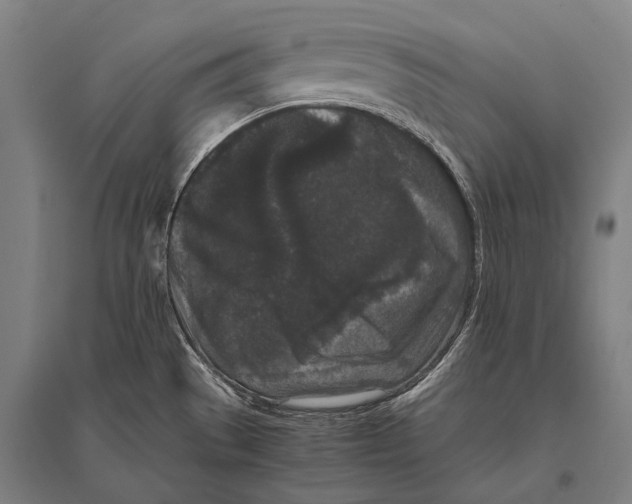 X0000094821529200712141633