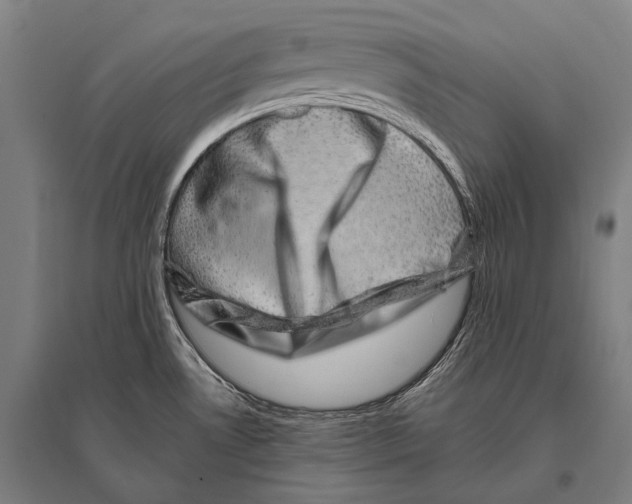 X0000094821530200712141633