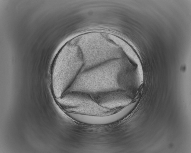 X0000094821531200712141634