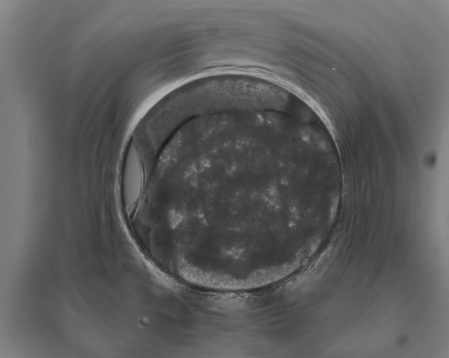 X0000094821533200712141634