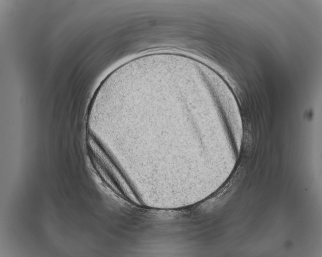 X0000094821534200712141634