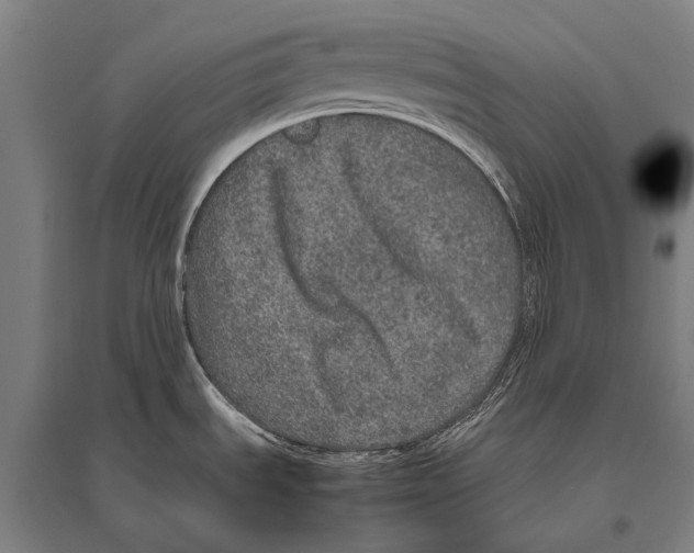 X0000094821535200712141634