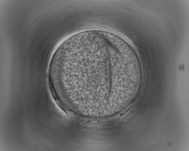 X0000094821536200712141634