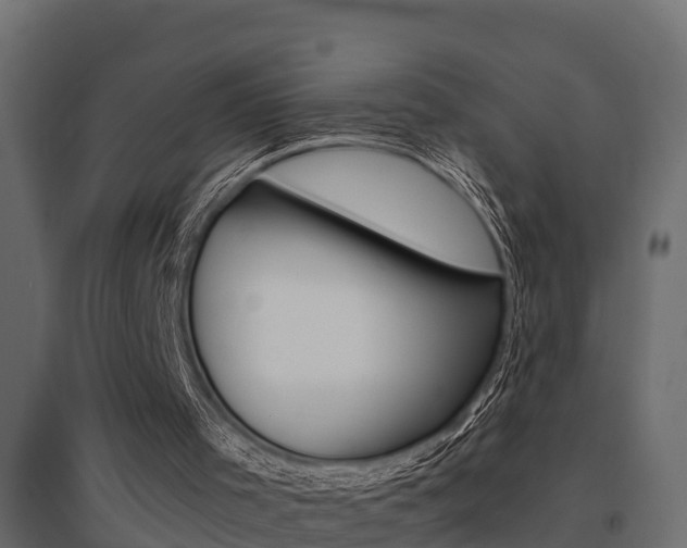 X0000094900001200711291034
