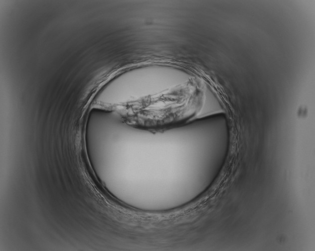 X0000094900002200711291034