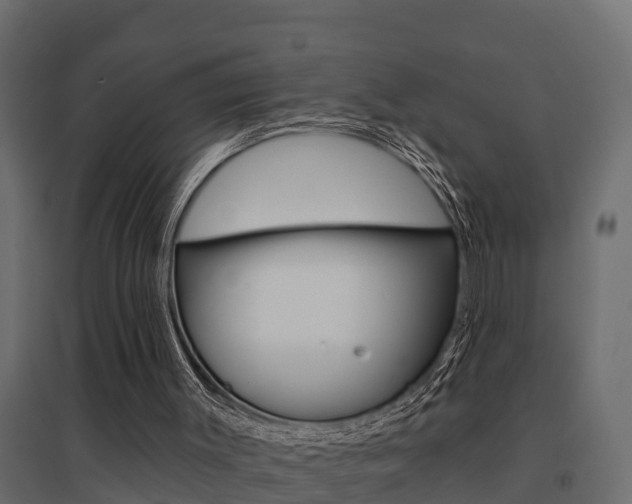 X0000094900003200711291034