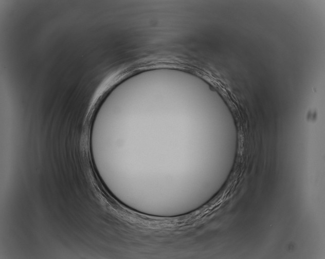 X0000094900004200711291034