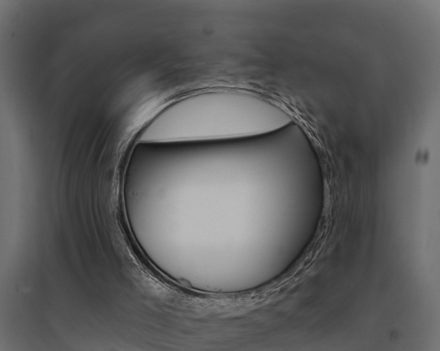 X0000094900005200711291034