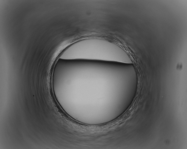 X0000094900006200711291034