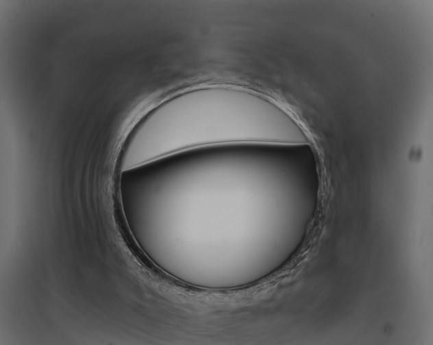 X0000094900007200711291034