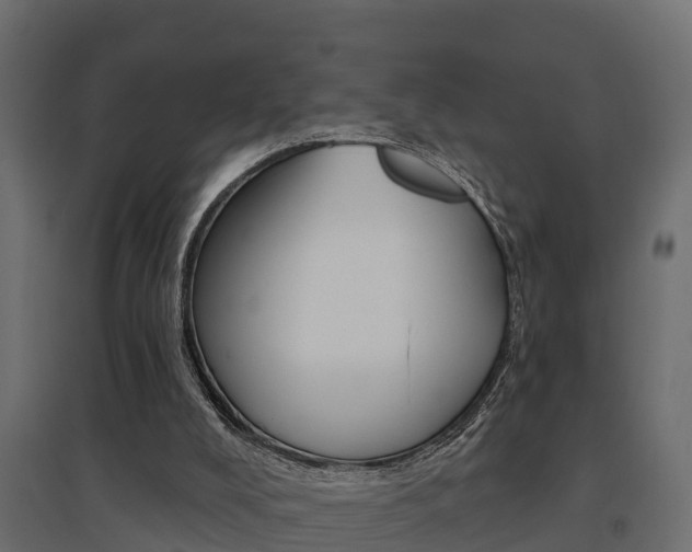 X0000094900008200711291034