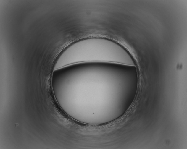 X0000094900009200711291034