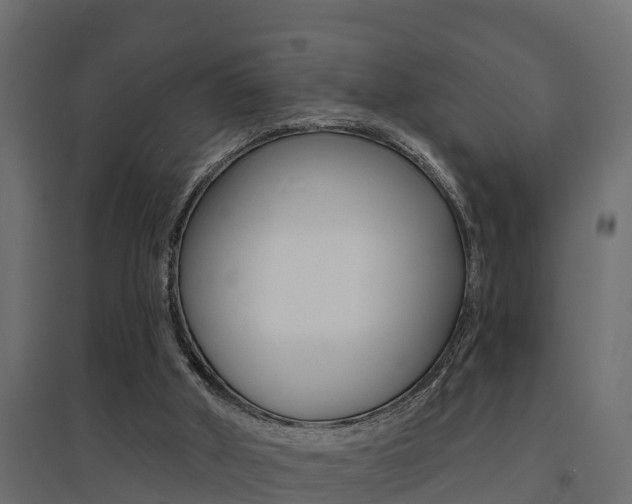 X0000094900010200711291034