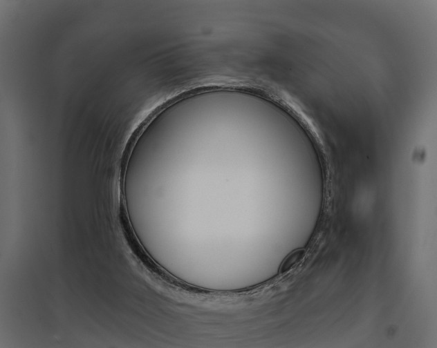 X0000094900011200711291034