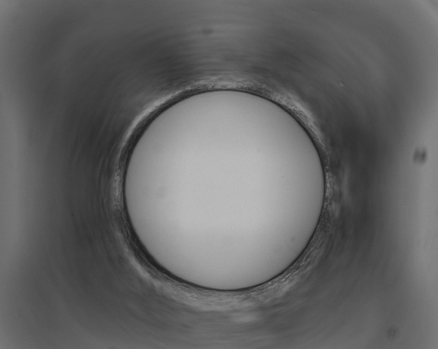 X0000094900012200711291034