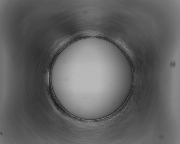 X0000094900014200711291034