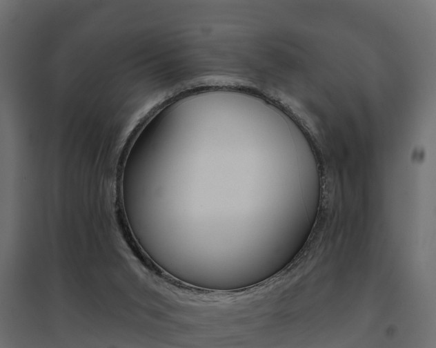 X0000094900015200711291034