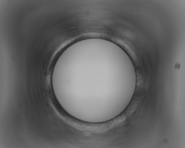 X0000094900016200711291034