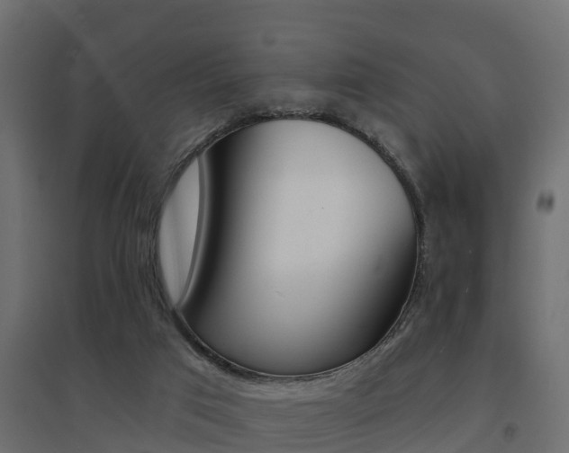 X0000094900017200711291034