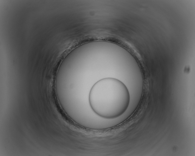 X0000094900018200711291034