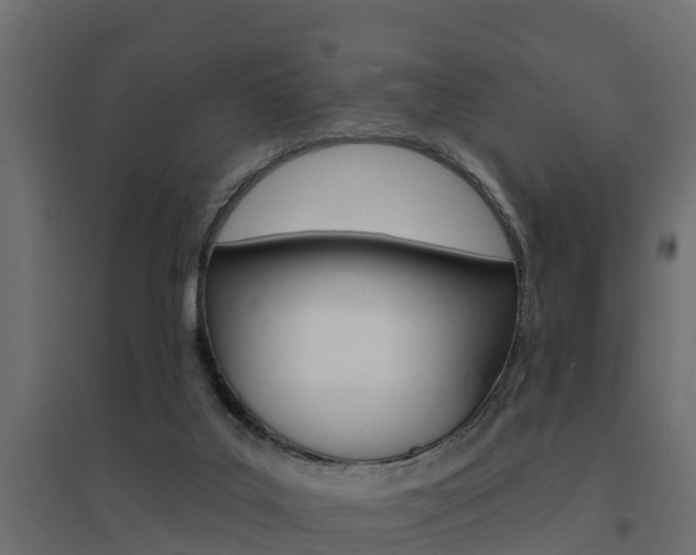 X0000094900019200711291034