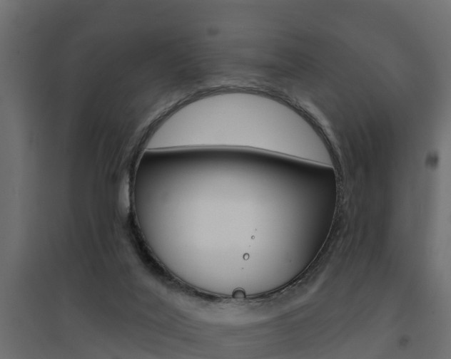 X0000094900020200711291034