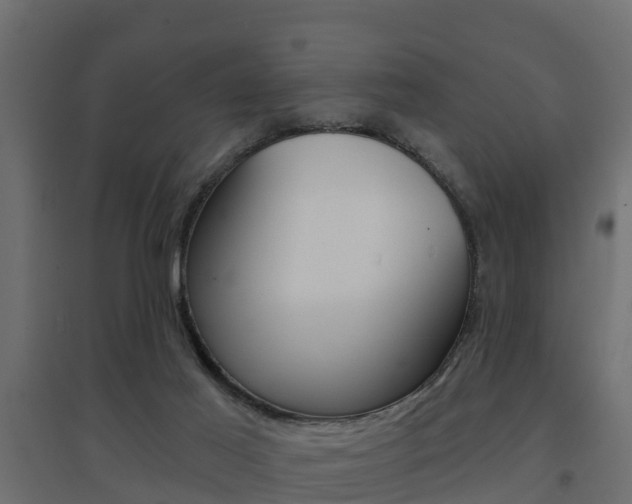 X0000094900021200711291034