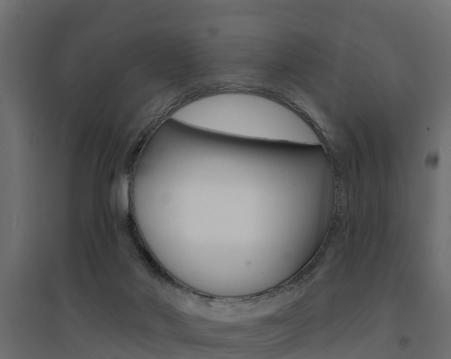 X0000094900022200711291034